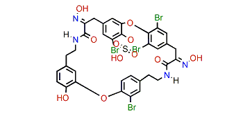 34-O-Sulfobastadin 13